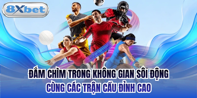 Đắm chìm trong không gian sôi động cùng các trận cầu đỉnh cao